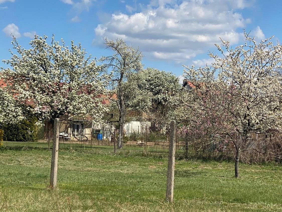 Prazdninovy Dum Sorada Villa Rohatec Exteriör bild